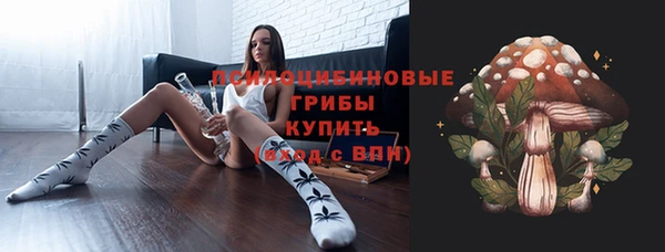 круглые Аркадак