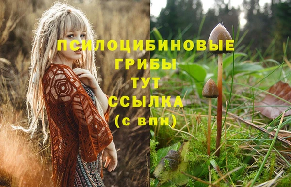 МДПВ Армянск